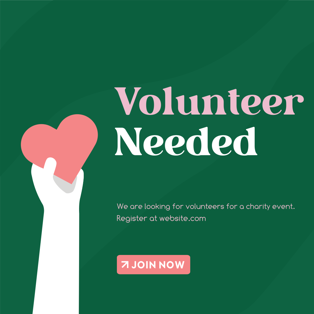 Volunteer Training & Capacity Building