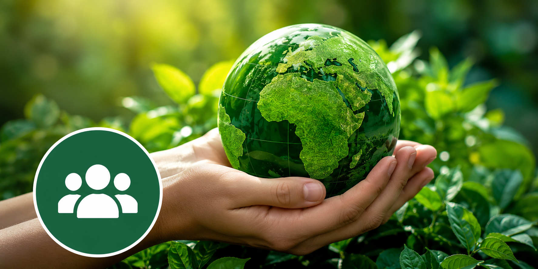 Sustainability Strategy Development